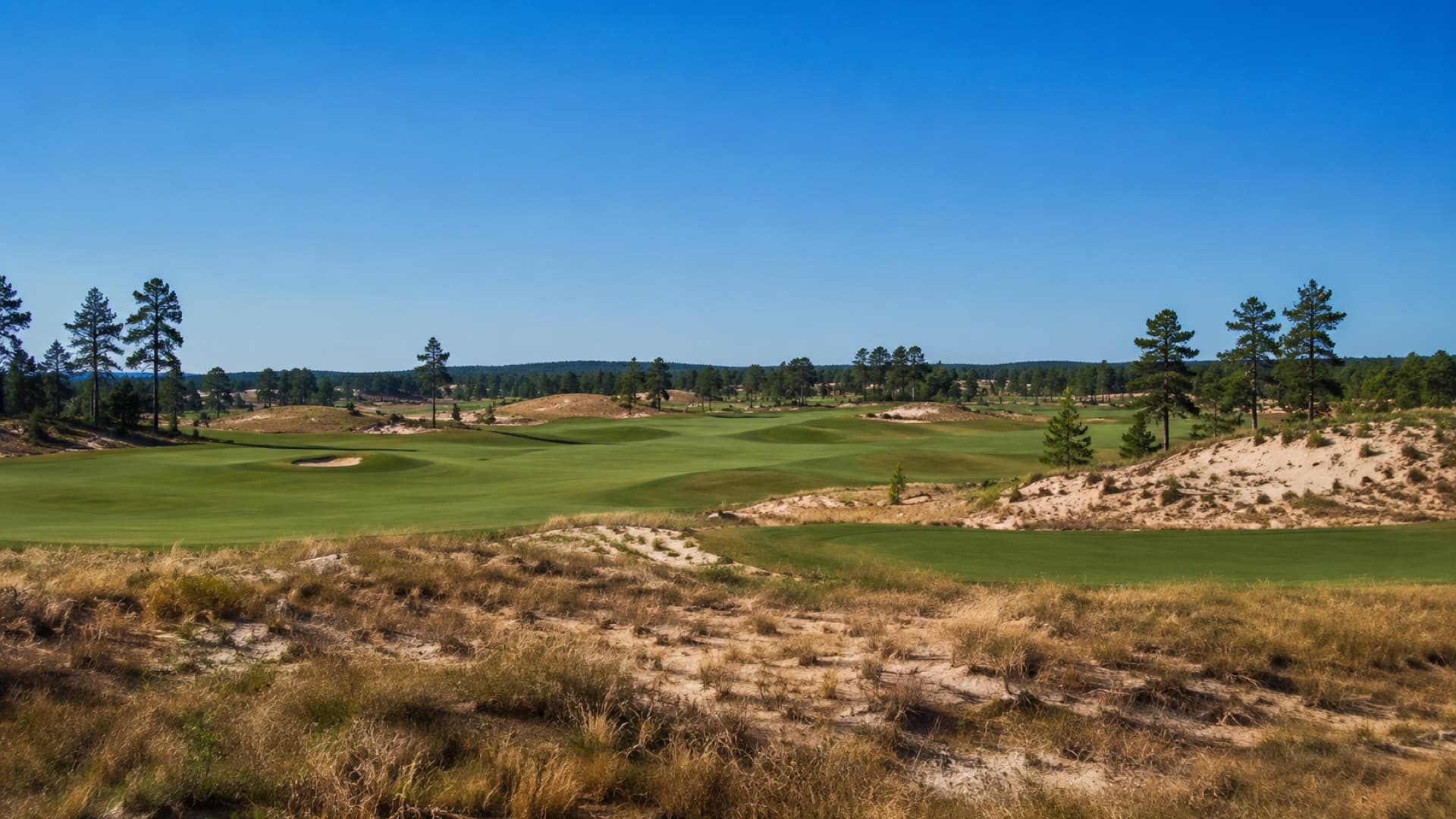 Ship golf clubs to Sand Valley for a Central Wisconsin sand-barren resort trip